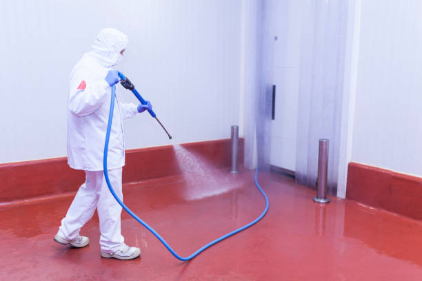 Best Graffiti Removal  in Myrtletown, CA